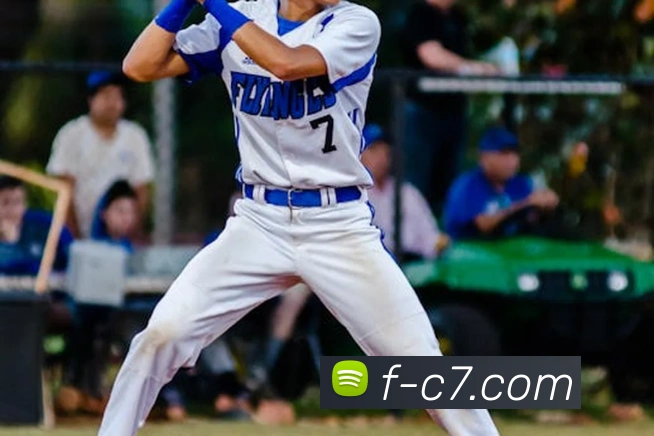 c7娱乐服务体系